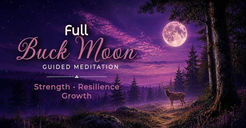 Full Buck Moon guided meditation featuring a buck beneath a glowing full moon in a purple forest landscape.