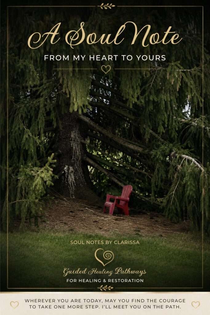 A small red chair beneath a majestic pine tree, symbolizing rest, wonder, and quiet reflection.