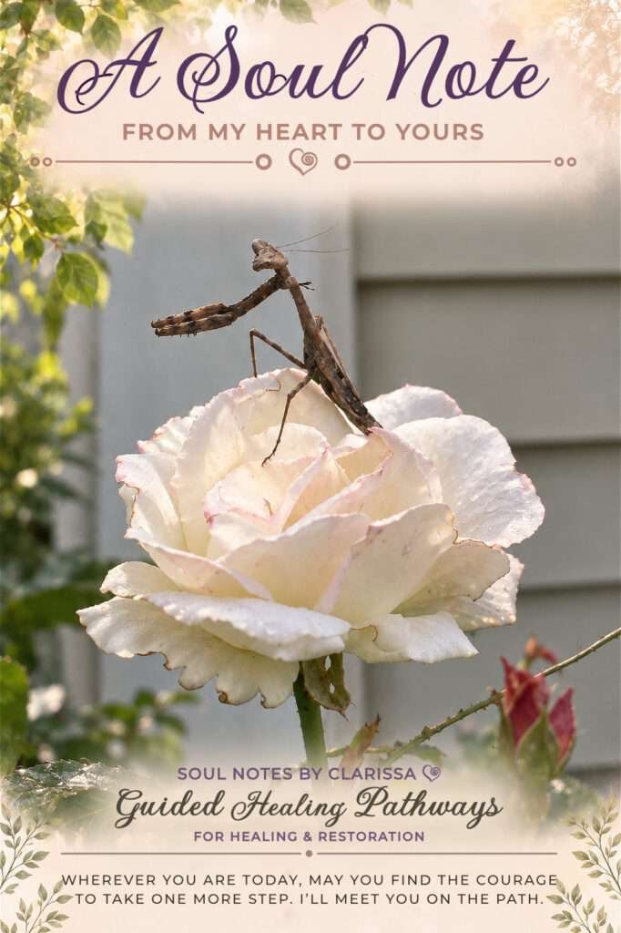 A brown praying mantis perched on a pale pink rose in a sunlit garden.