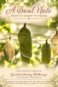 Green butterfly chrysalises and translucent empty chrysalis shells hanging in warm sunlight at a butterfly sanctuary.